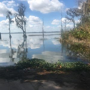 Meet your Posher, Yvonne